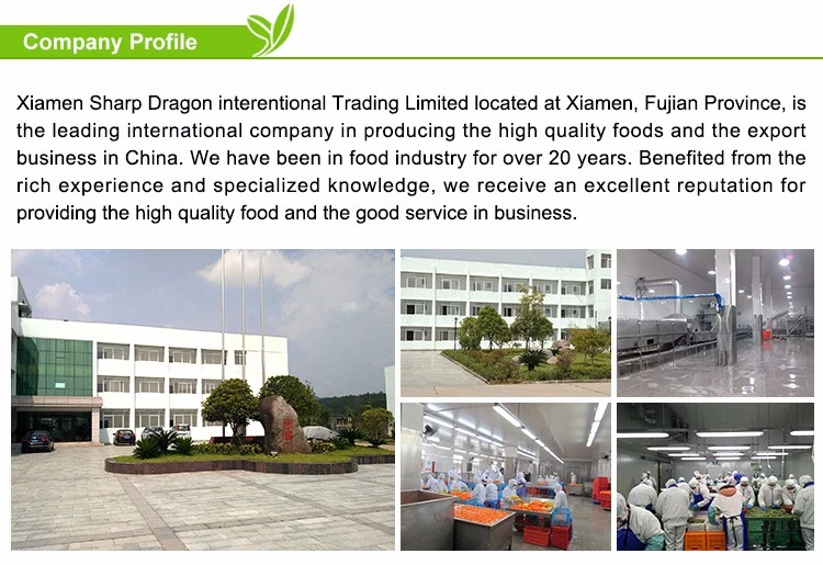 XMSD fresh sugarcane company information for B2B buyers