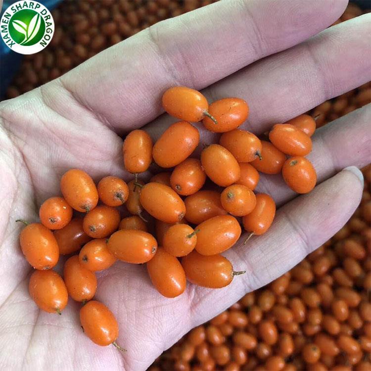 dondurulmuş deniz cehri meyve frozen sea buckthorn fruit