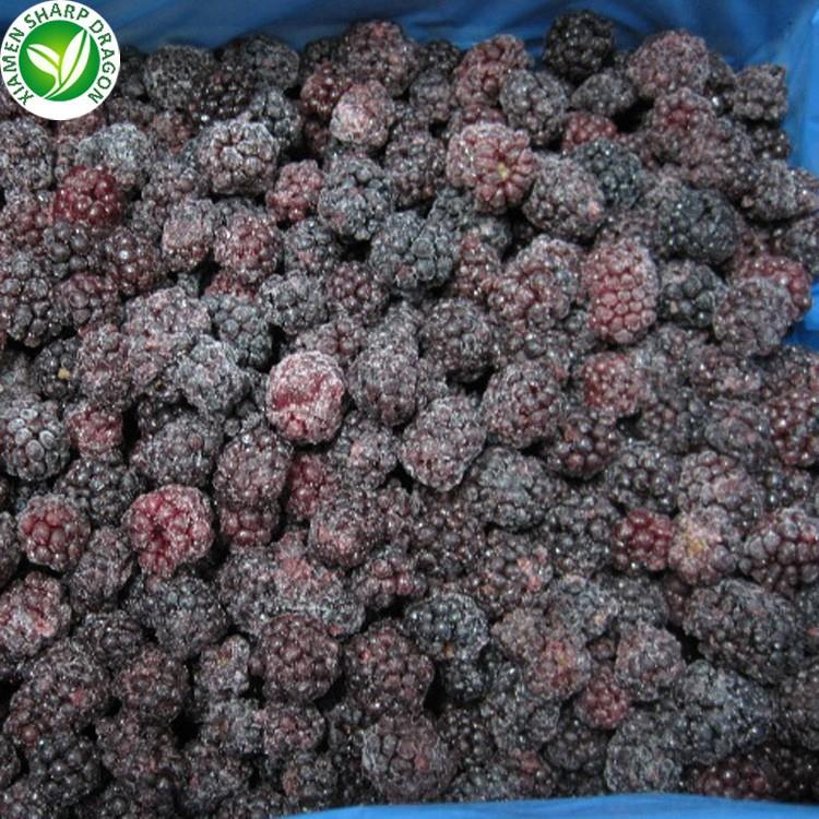 Wholesale Frozen Blackberries Manufacturer in China Wholesale frozen blackberries manufacturer in China