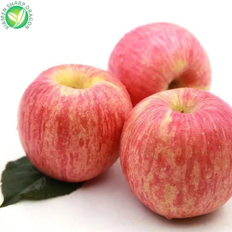 apple fruit business