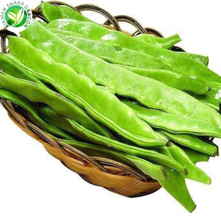 romano beans in bulk 