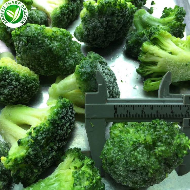 hot selling frozen broccoli