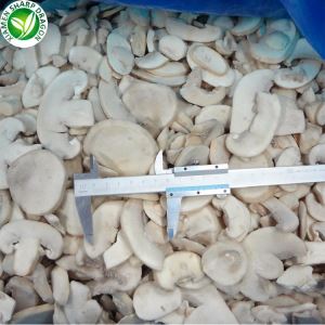 Champignon mantar satın al