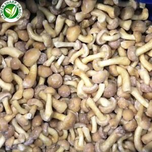 Çin'de Dondurulmuş Nameko Mantarı Tedarikçi ve Üretici