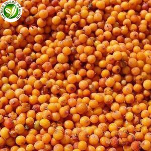 Satılık Donmuş Deniz Buckthorn Meyveleri