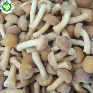 Nameko Mantarı Yetiştiriciliği