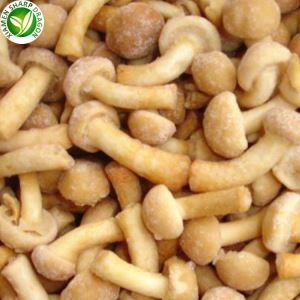 Nameko Mantarı Fiyatı
